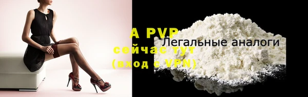 дживик Баксан