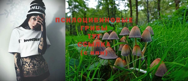 дживик Баксан