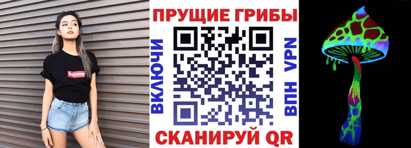 Псилоцибиновые грибы Magic Shrooms  Зерноград 
