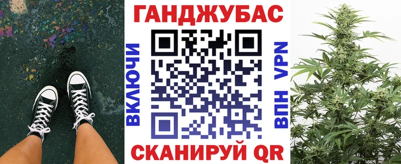 Конопля сатива  площадка состав  Зерноград 